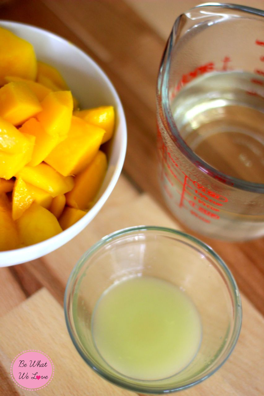 Mango Sorbet Ingredients